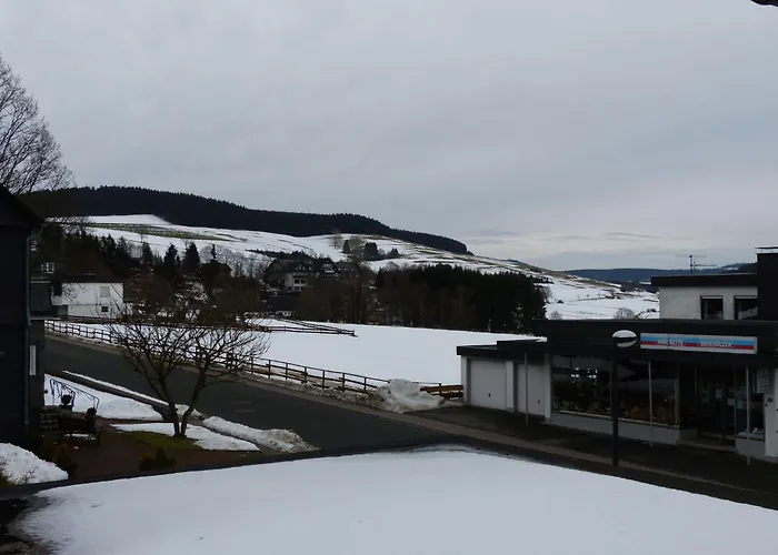 Mit Privatem Balkon By Interhome * Winterberg